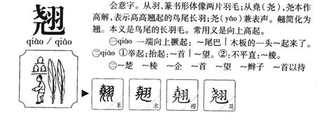 翹名字意思|翹字起名,翹字什麼意思,翹字取名字的含義